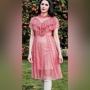 Wax Poetic Retro  Dusty Rose Mesh Dolly Dress, Sz XL